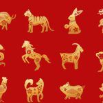 Mengenal 12 Shio dalam Astrologi China, “Shio Kelinci Dikenal Sopan”