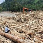 DPR Panggil Menhut Raja Juli Bahas Ribuan Kayu Hanyut di Sumatra