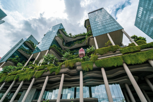 Tren Green Building dan Sertifikasi Bangunan Ramah Lingkungan vs Biaya