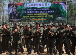 Jalankan Arahan Presiden, Polri Siapkan Polisi Khusus Kehutanan
