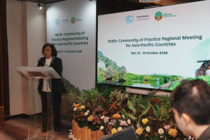 Negara-Negara Asia-Pasifik Perkuat Kolaborasi untuk Tata Kelola Hutan dan Pembiayaan Iklim melalui REDD+